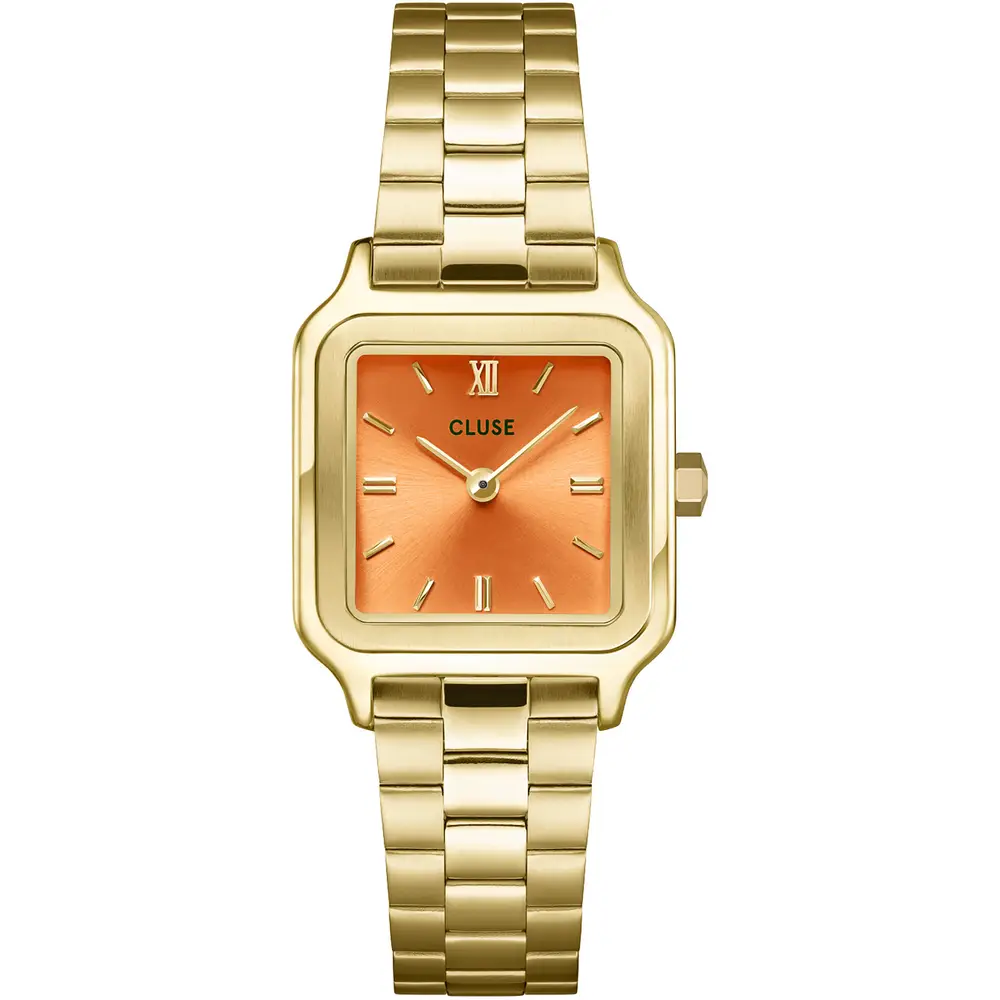 La Petite Story OROLOGIO CLUSE GRACIEUSE PETITE - CW11807 Officina