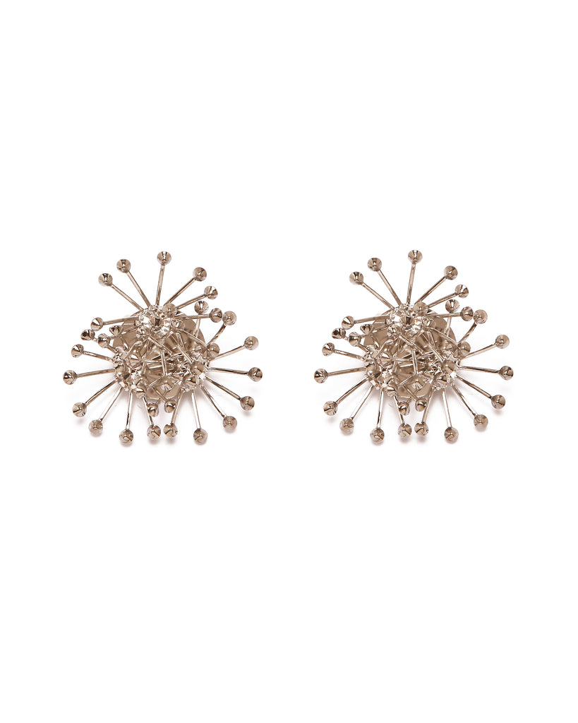 Silvia Gnecchi Anemone 2025